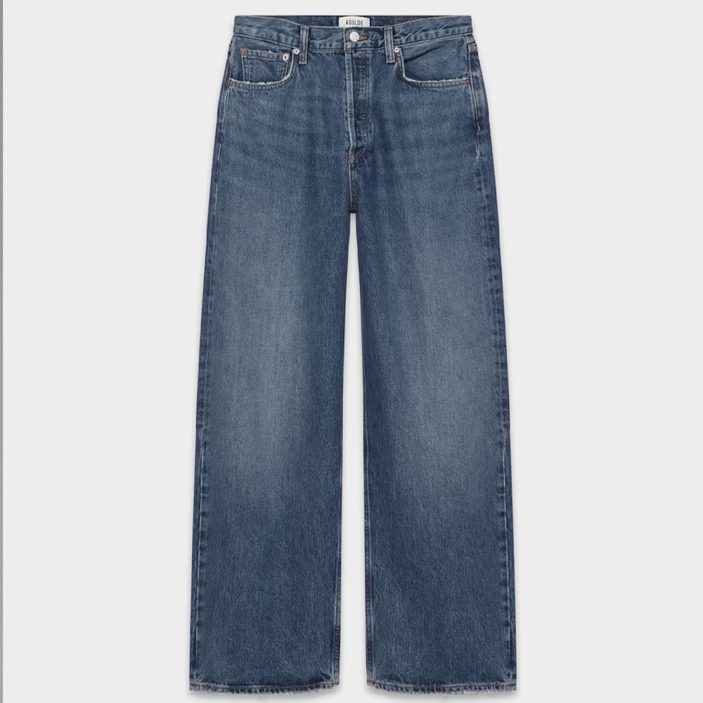 Agolde Low-Slung Baggy Jean